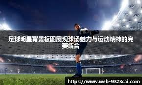 2024赛季中超年度最佳球员候选：武磊等13人入围